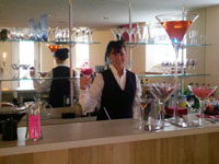 Beth bartending at a Martini Party